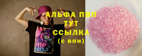 сатива Новозыбков