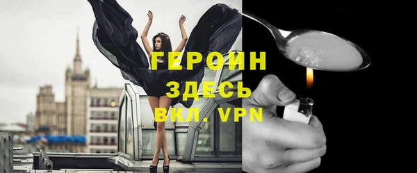 сатива Новозыбков