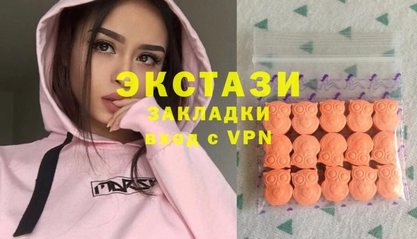 сатива Новозыбков