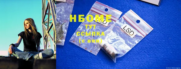 сатива Новозыбков