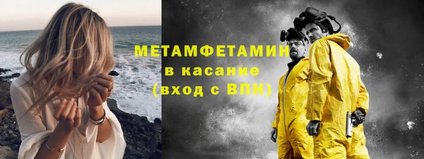 сатива Новозыбков