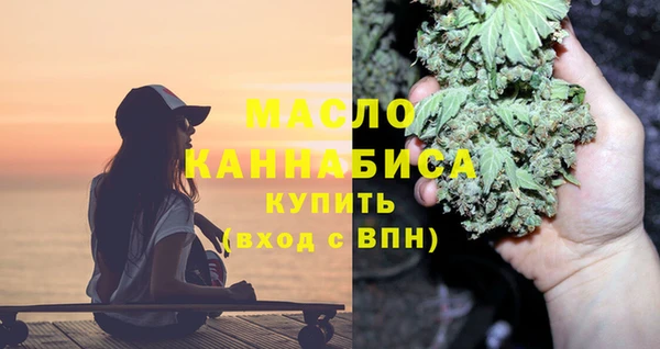 сатива Новозыбков