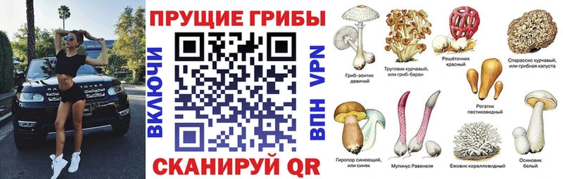hydra вход  Серафимович  Псилоцибиновые грибы GOLDEN TEACHER 